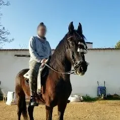 Simone, 31